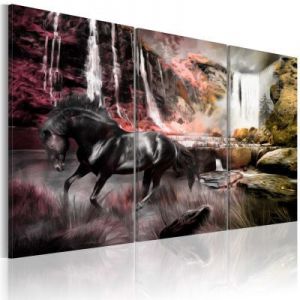 Obraz - Czarny koń przy wodospadzie