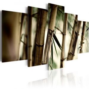 Obraz - Azjatycki las bambusowy