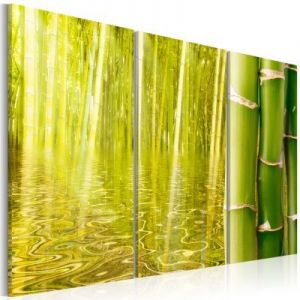 Obraz - Bambus w tafli wody