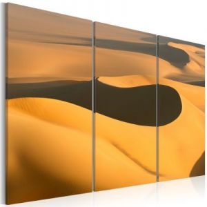 Obraz - Bezkresne piaski pustyni