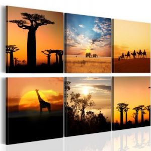 Obraz - Afrykańskie pejzaże