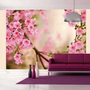 Fototapeta - Pink azalea