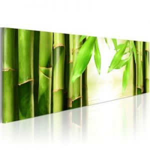 Obraz - Bamboo gate