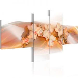 Obraz - Kremowe kwiaty - Orchidee