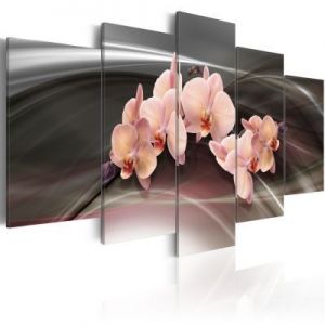 Obraz - Różowa orchidea na ciemnym tle