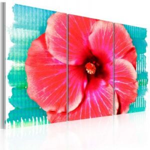 Obraz - Hawaiian flower - triptych