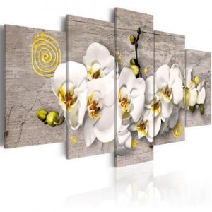 Obraz - Sunny orchids - 5 pieces