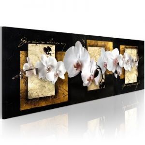 Obraz - Finezyjna kompozycja z orchideą