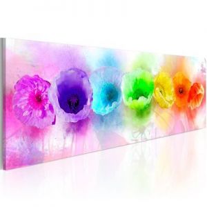 Obraz - Rainbow-hued poppies