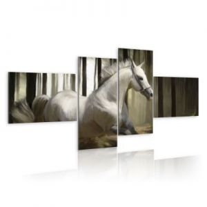 Obraz - Rozpędzony koń