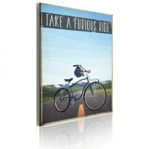 Obraz - Take a furious ride