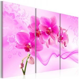 Obraz - Eteryczna orchidea - róż