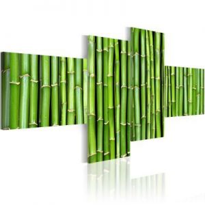 Obraz - Zielone łodygi bambusa
