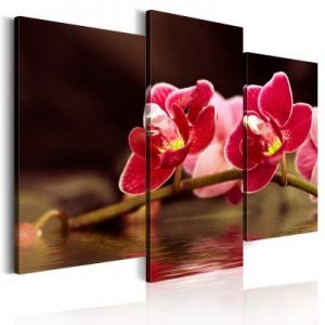 Obraz - Orchidea nad taflą jeziora