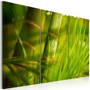 Obraz - Soczysta zieleń tropikalnych traw