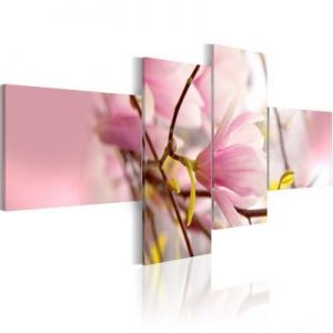 Obraz - Gałąź krzewu magnolii