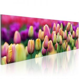 Obraz - Tęczowe tulipany