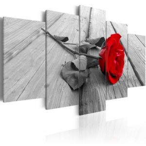 Obraz - Róża na drewnie
