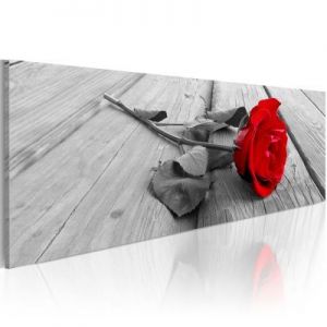 Obraz - Karminowa róża